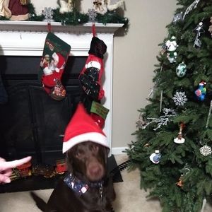 Meet your Posher, Sharon